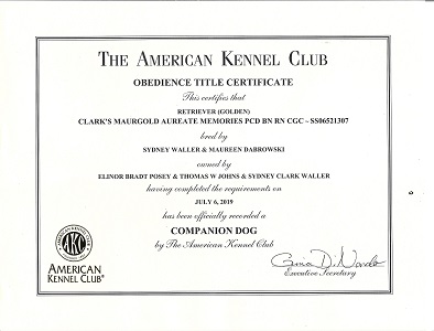 SmallPicture of Rhys earning 3rd BN leg